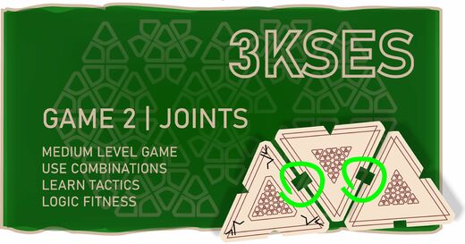 3KSES_flag_game2-JOINTS.jpg